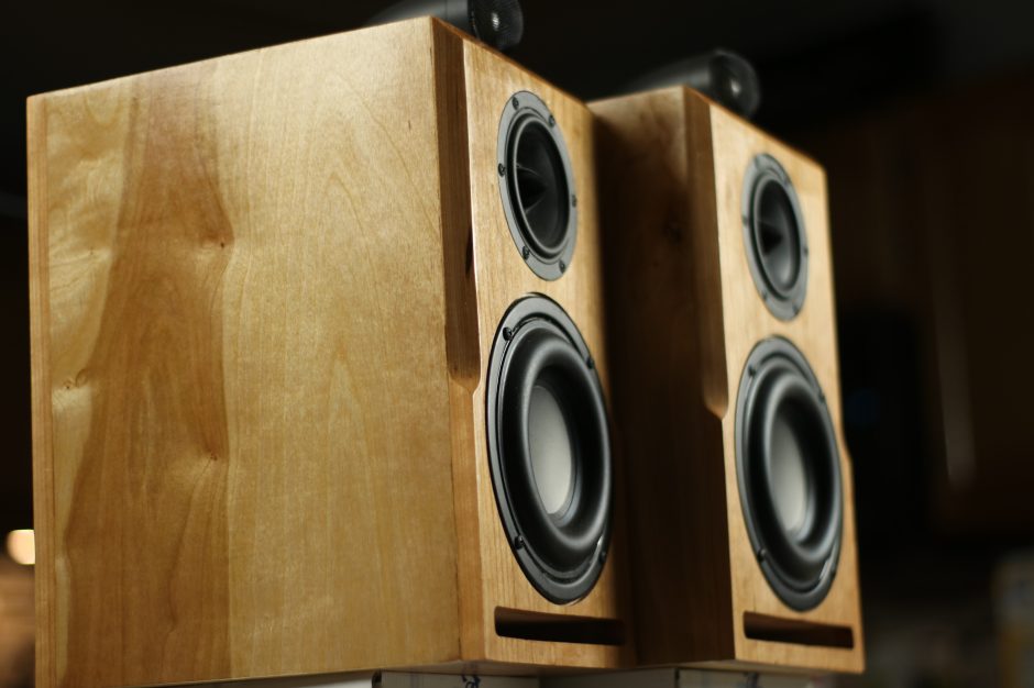 Best Subwoofer Best subwoofers Tnag Band W5-1138smf