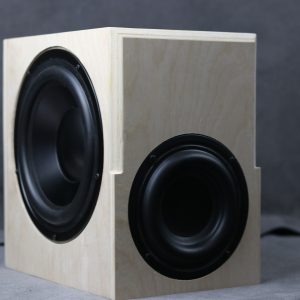 Voxel Subwoofer with Passive Radiator Plans